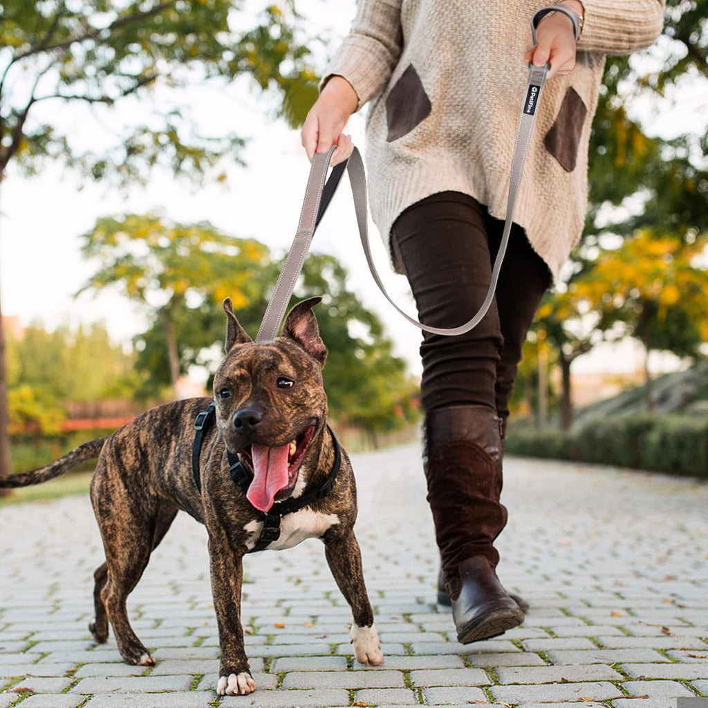 4FT Heavy Duty Dog Leash with Soft Padded Double Handle, Durable Strong Clasp Dog Leashes, Reflective Nylon Walking Lead for Large,Medium,Small Breed Dogs, Grey