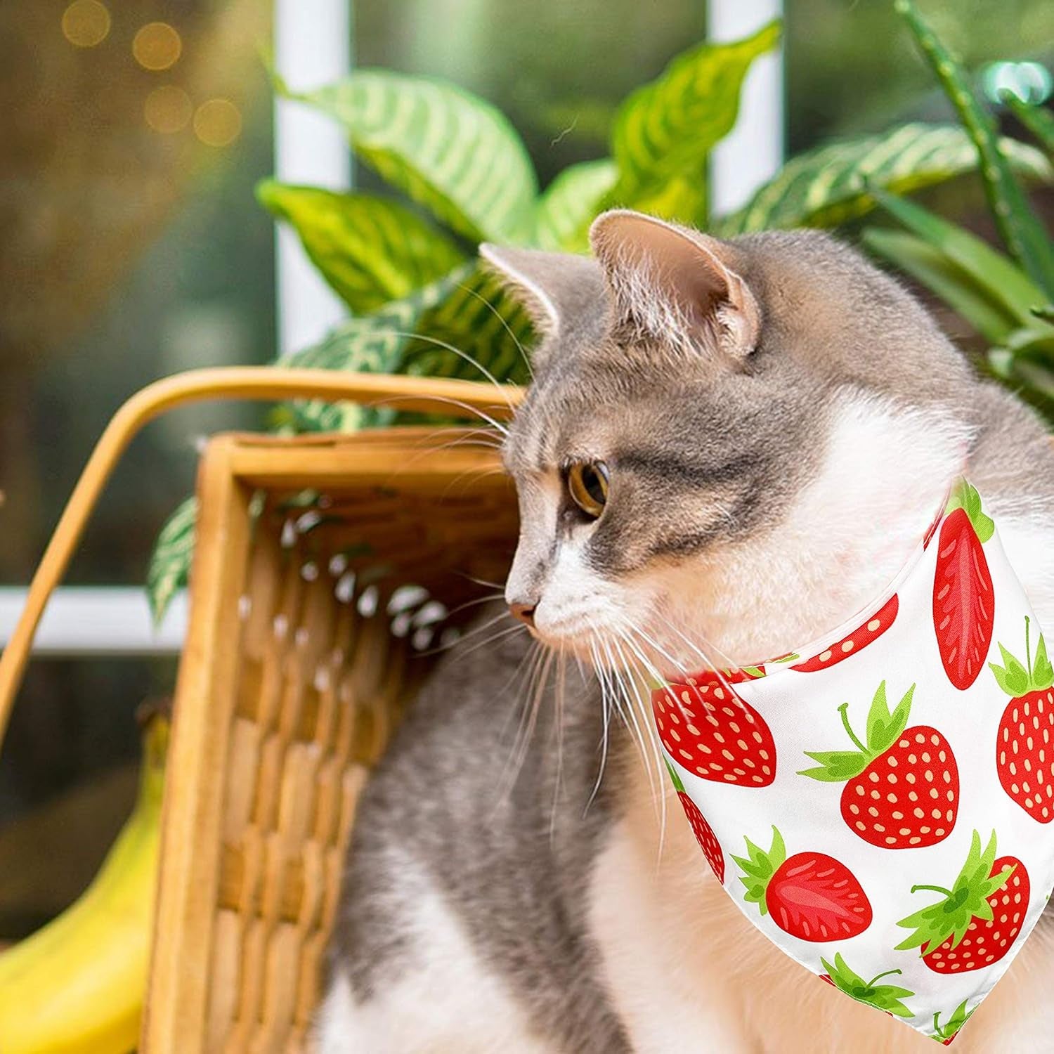 2 Pack Summer Dog Cat Bandana, Strawberry Watermelon Bandana for Small Medium Large Dogs Pets Puppies Pets (Strawberry/Watermelon)